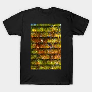 Autumn Trees in Abstract T-Shirt